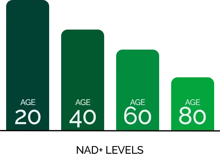 graph-img